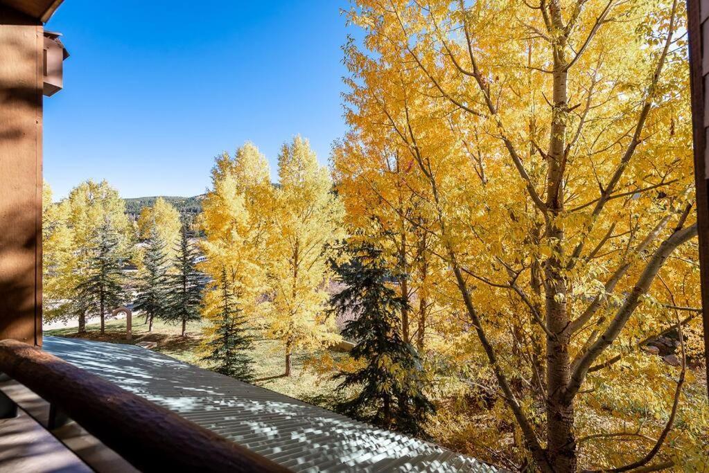 Ski-In/Ski-Out Zephyr 1 Bedroom Condo Winter Park Εξωτερικό φωτογραφία