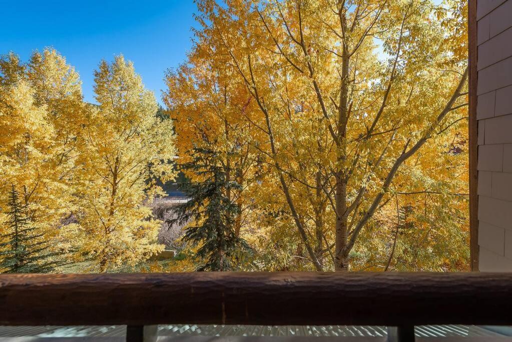 Ski-In/Ski-Out Zephyr 1 Bedroom Condo Winter Park Εξωτερικό φωτογραφία